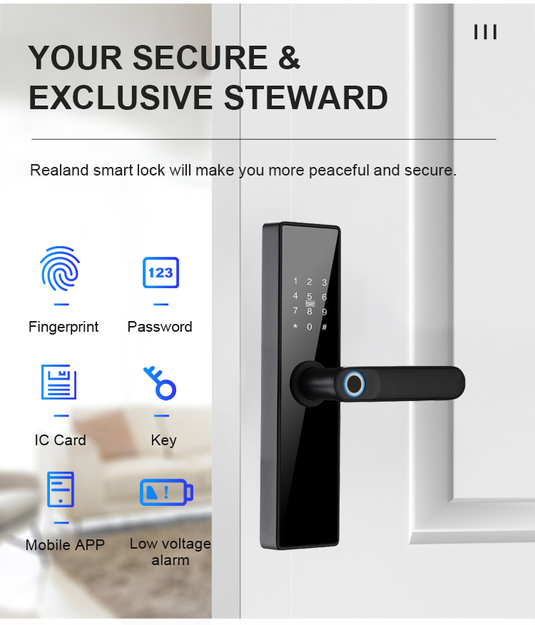 https://www.s4a-access.com/fingerprint-keyless-tuya-smart-door-lock-black_p1267.html